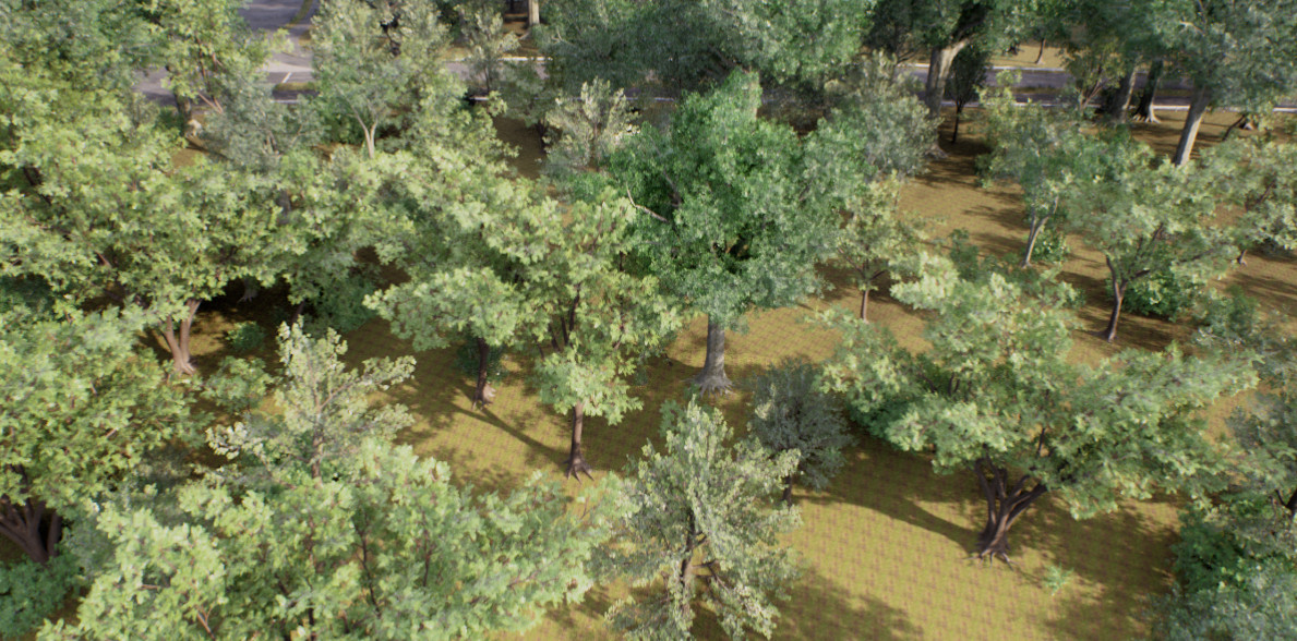 Rendering of various 3D-models of trees.